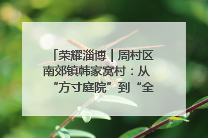 荣耀淄博｜周村区南郊镇韩家窝村：从“方寸庭院”到“全域文明”，乡村振兴的“美学革命”